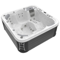 Гидромассажный спа-бассейн Wellis Lugano Life Premium Гидромассажный спа-бассейн Wellis Lugano Life Premium